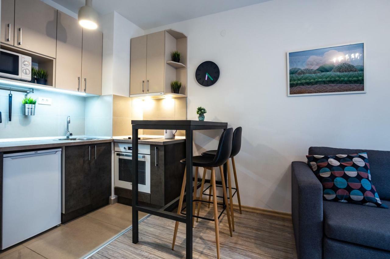 Modern Naive Downtown With Free Private Garage-Fast Wi-Fi Apartment โนวีซาด ภายนอก รูปภาพ